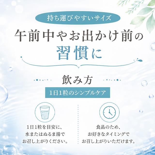 ソルプロプリュス ホワイト サプリメント 30粒 ソルプロ SOLPRO WHITE