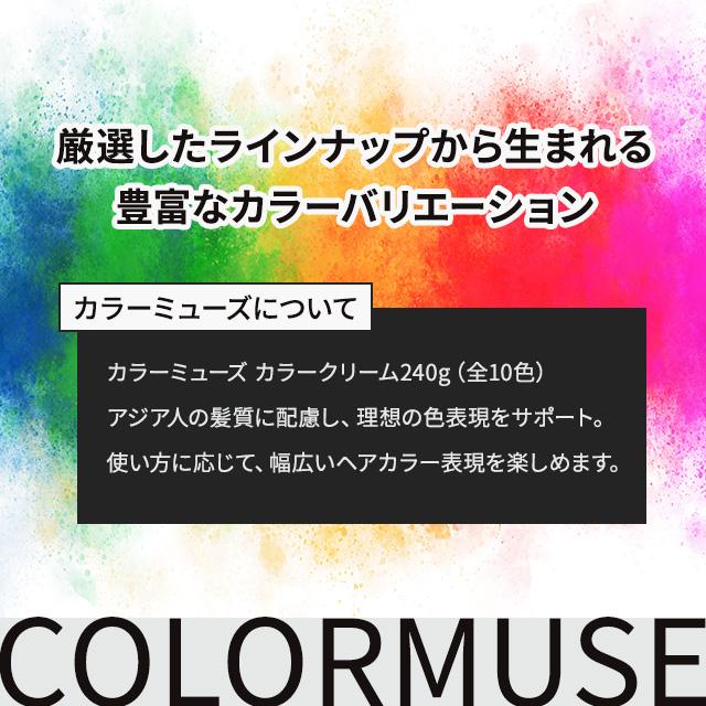 SHISEIDO PROFESSIONAL（資生堂プロフェッショナル） 資生堂 カラー