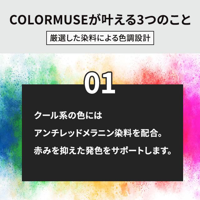 SHISEIDO PROFESSIONAL（資生堂プロフェッショナル） 資生堂 カラー