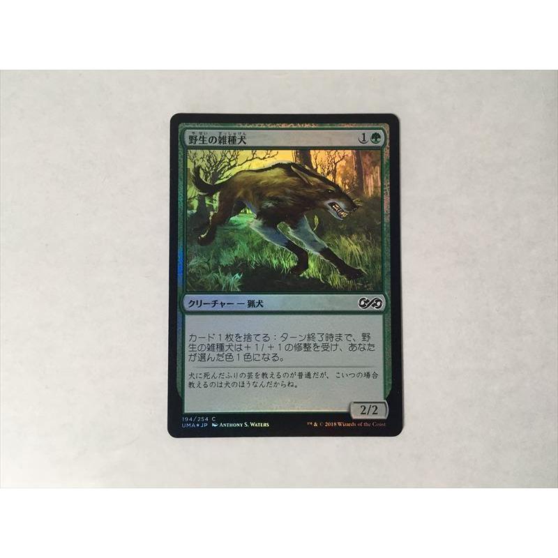 B159 Mtg マジック ザ ギャザリング 野生の雑種犬 Foil ホイル E Asta イーストア 通販 Yahoo ショッピング