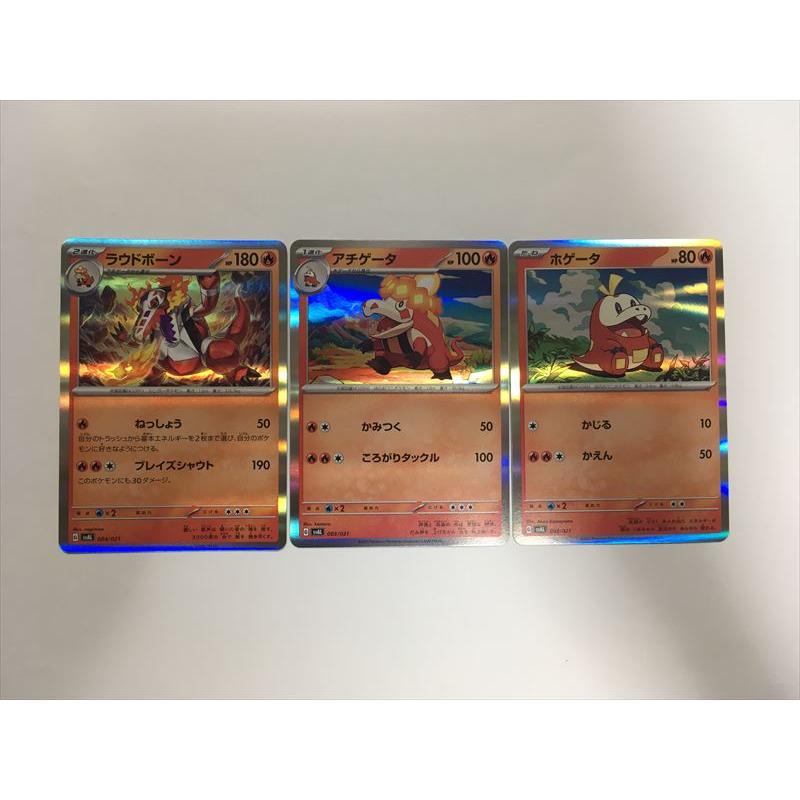 Pokemon（ポケモン） X81【ポケモン カード】ホゲータ アチゲータ 
