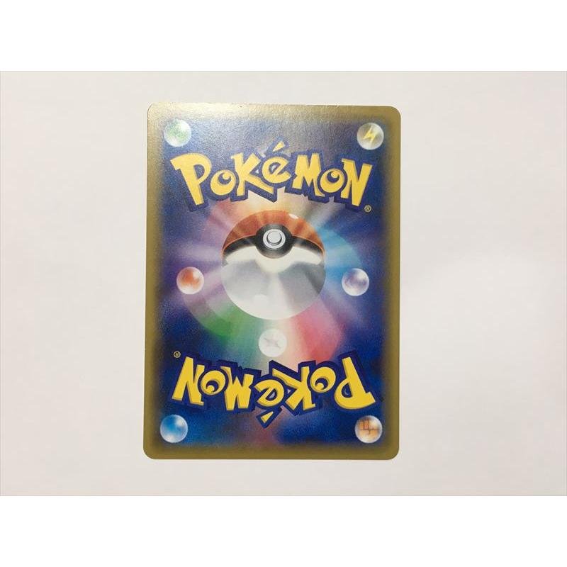 Pokemon（ポケモン） ZC262【ポケモン カード】 ジムバッジ タケシ