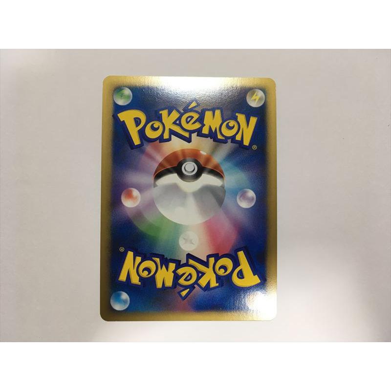 Pokemon（ポケモン） P258【ポケモン カード】 ガブリアス LV.71 Pt3