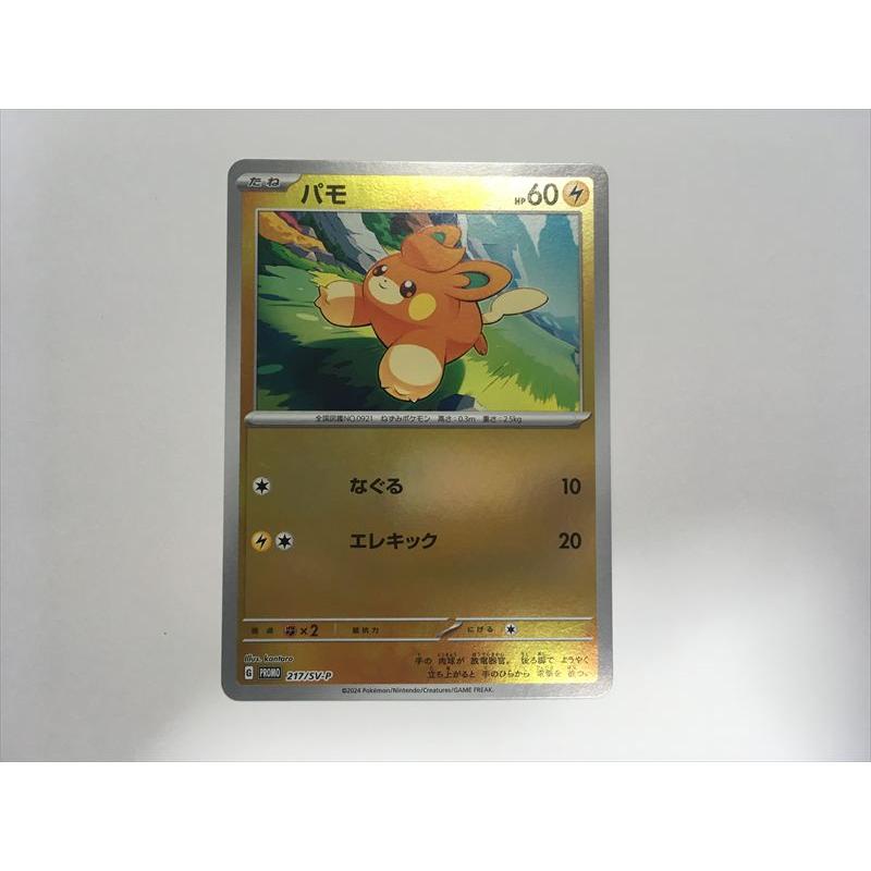 Pokemon（ポケモン） F240【ポケモン カード】 パモ PROMO プロモ 217