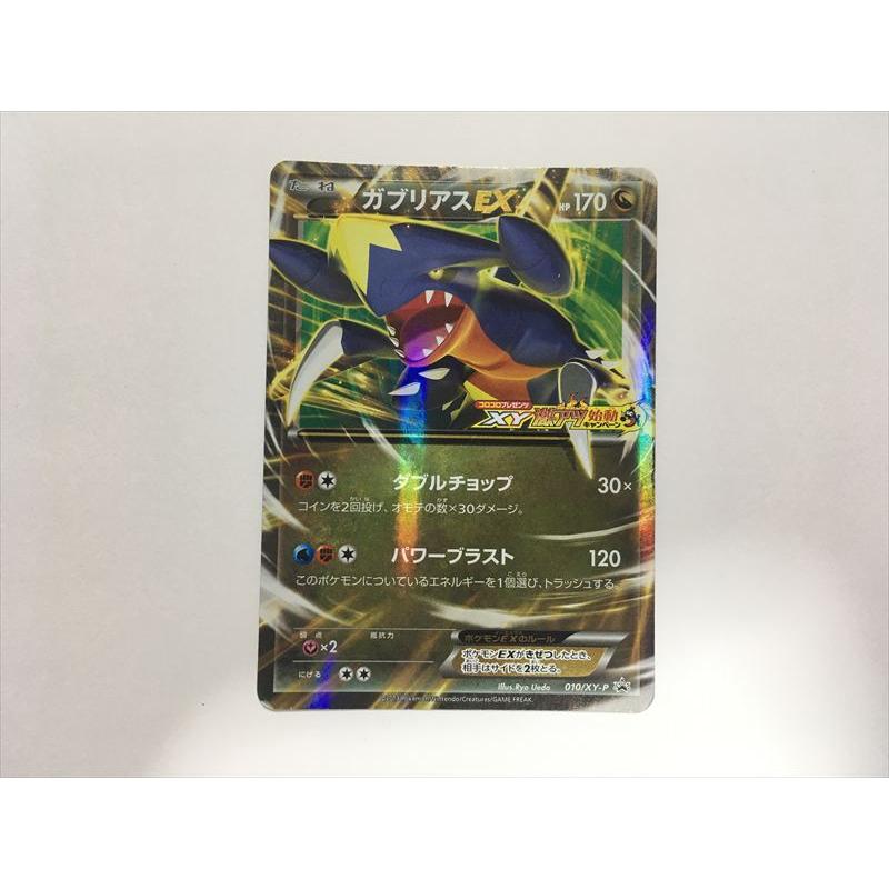 Pokemon（ポケモン） F243【ポケモン カード】 ガブリアス プロモ 010