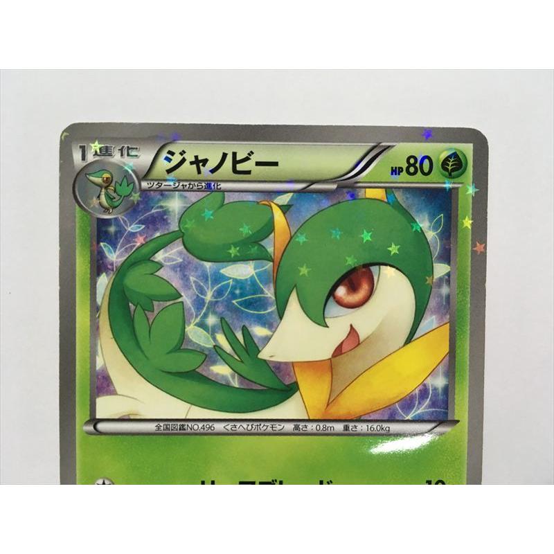 Pokemon（ポケモン） Y376【ポケモン カード】ジャノビー 002/020 C