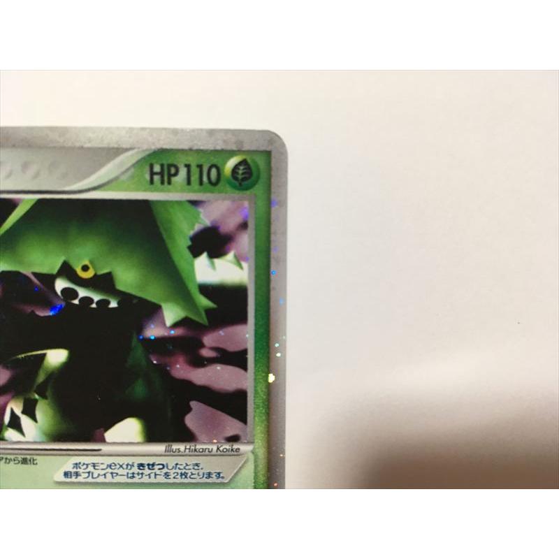 Pokemon（ポケモン） ZC210【ポケモン カード】 ノクタスex 2005 006