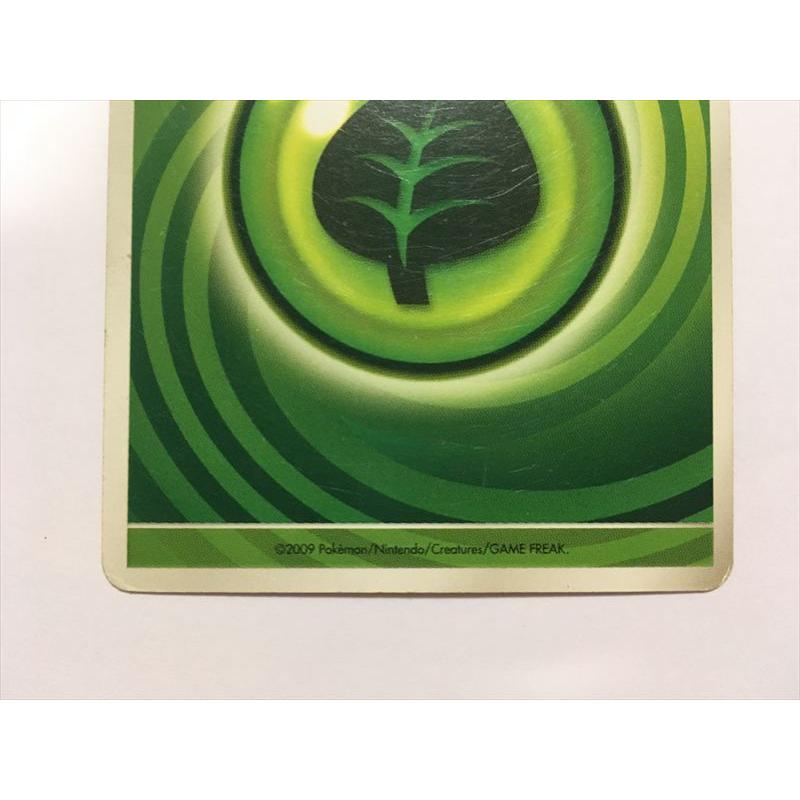 Pokemon（ポケモン） N188【ポケモン カード】 基本草エネルギー くさ