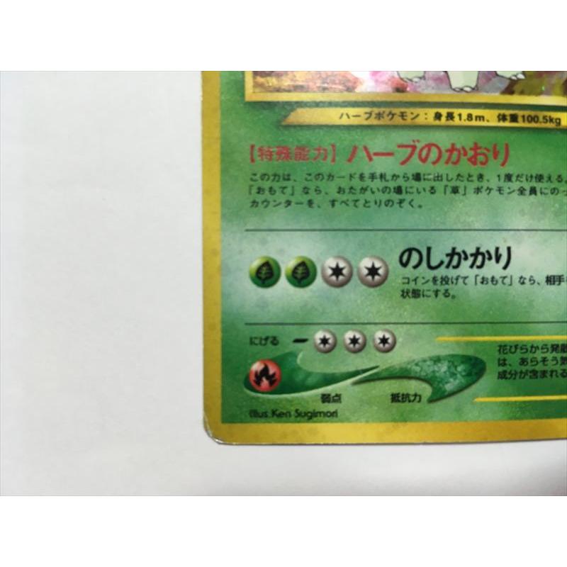 Pokemon（ポケモン） ZC414【ポケモン カード】 メガニウム LV.54 No