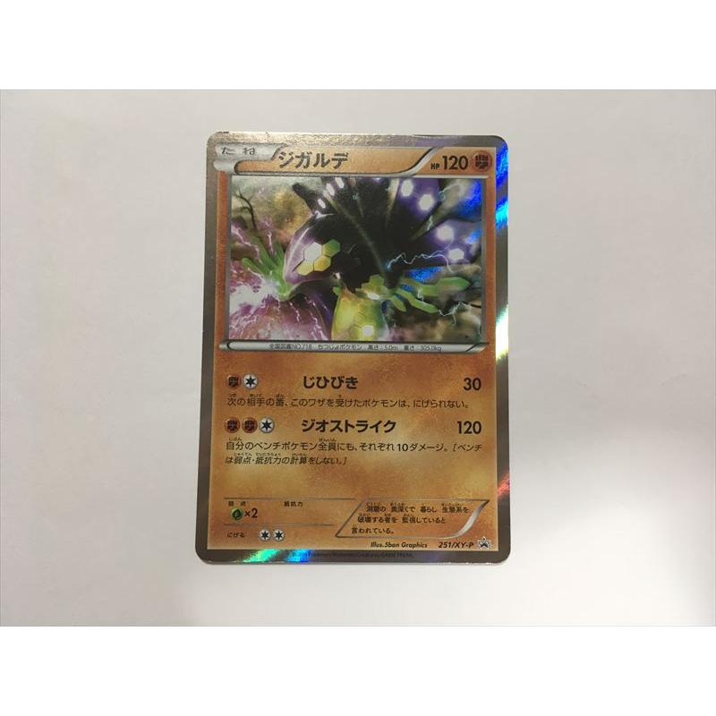 Pokemon（ポケモン） T136【ポケモン カード】 ジガルデ 251/XY-P
