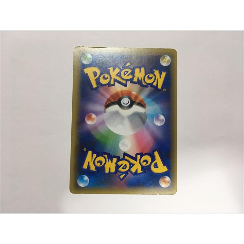 Pokemon（ポケモン） T136【ポケモン カード】 ジガルデ 251/XY-P