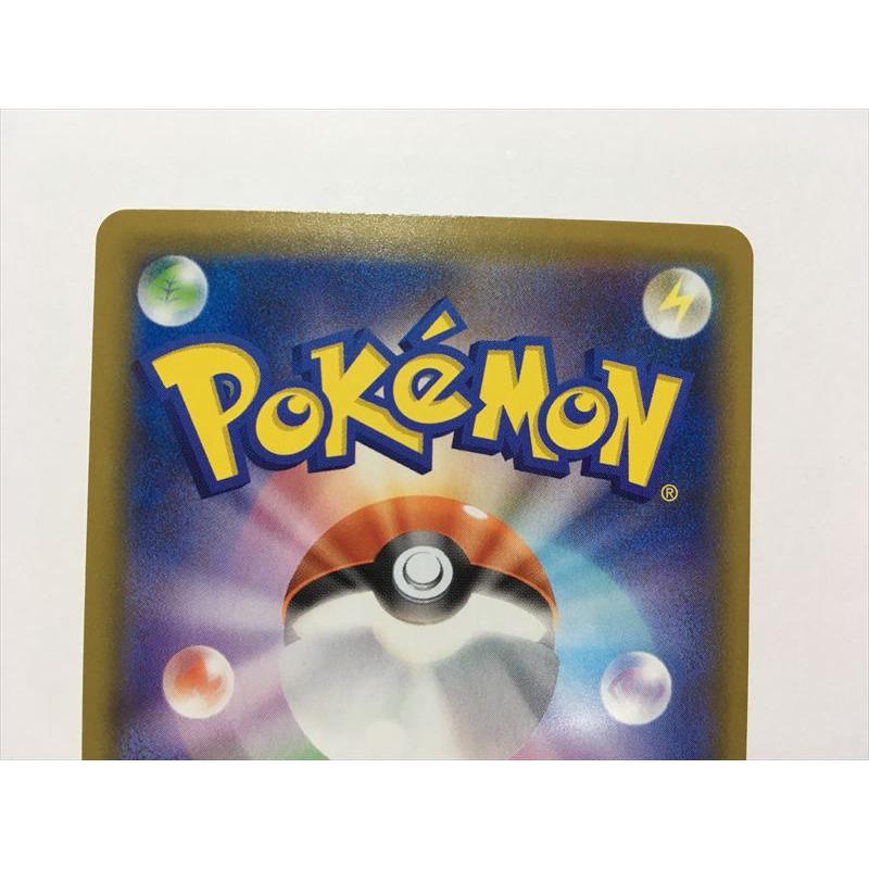 Pokemon（ポケモン） G315【ポケモン カード】 ゼクロム S8a 011/028