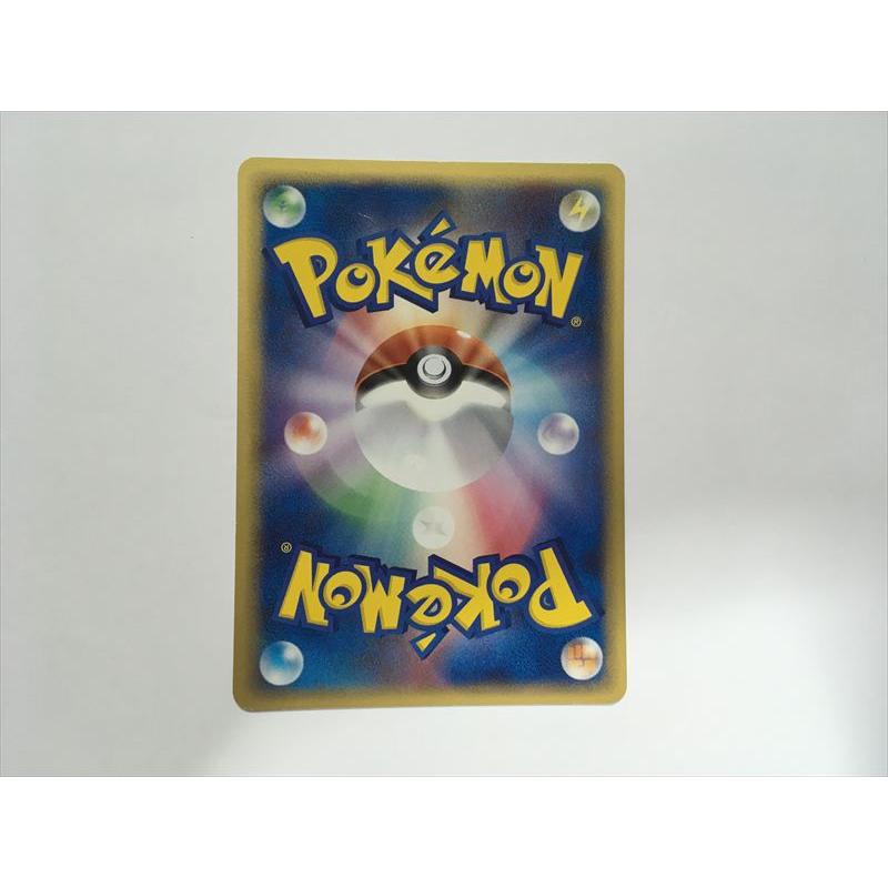 Pokemon（ポケモン） ZD174【ポケモン カード】 ブースター プロモ 102