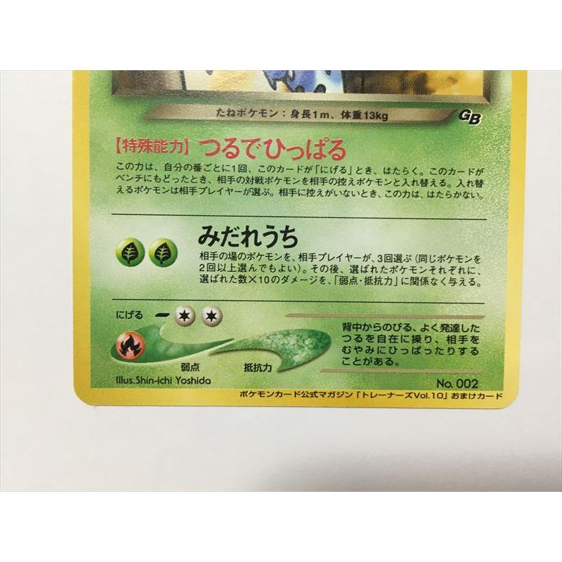 Pokemon（ポケモン） ZC21【ポケモン カード】 わるいフシギソウ