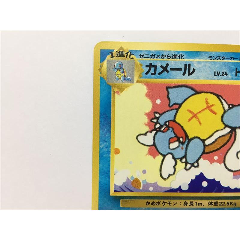 と イントロ ゼニガメ ヒトカゲポケモンカード まとめ ポケカ引退セット 現状品 ヒトカゲ ゼニガメ ポケモンカードセット - メルカリ