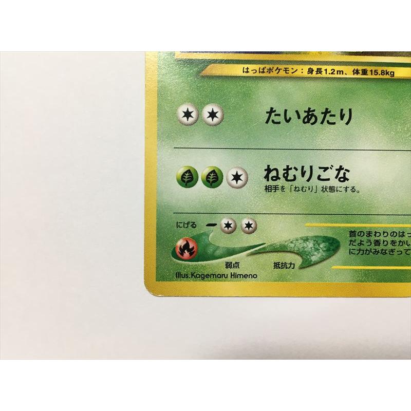 Pokemon（ポケモン） ZC85【ポケモン カード】 ベイリーフ neo 旧裏 旧