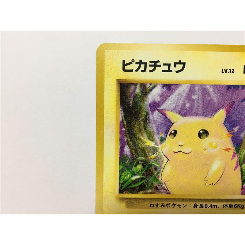 Pokemon（ポケモン） ZC143【ポケモン カード】 ピカチュウ フシギダネ