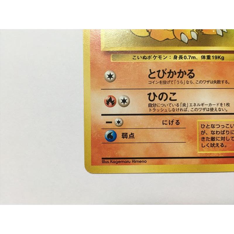 Pokemon（ポケモン） ZC260【ポケモン カード】 ガーディ No.058 旧裏