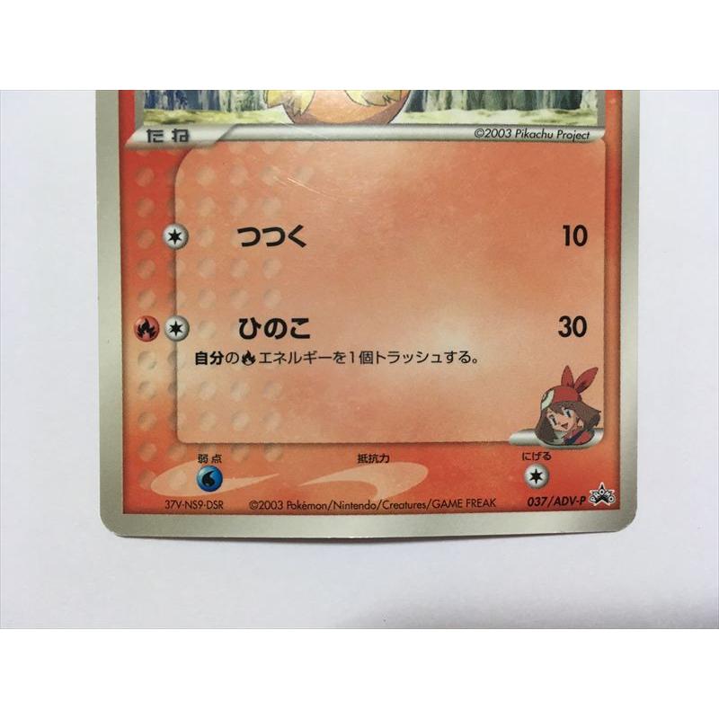 Pokemon（ポケモン） T339【ポケモン カード】 ハルカのアチャモ
