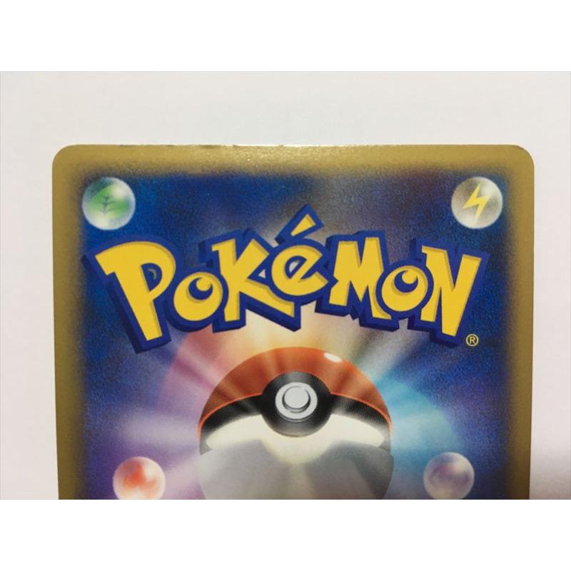 Pokemon（ポケモン） O10【ポケモン カード】 チコリータ 005/L-P