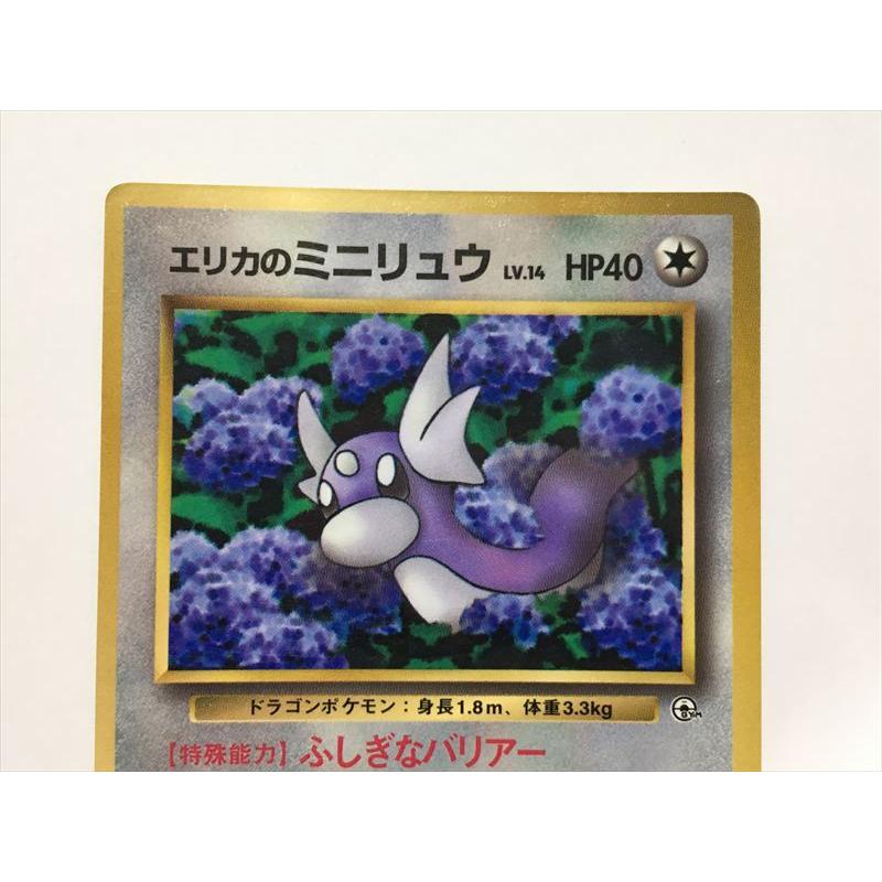 Pokemon（ポケモン） Y131【ポケモン カード】 エリカのミニリュウ LV