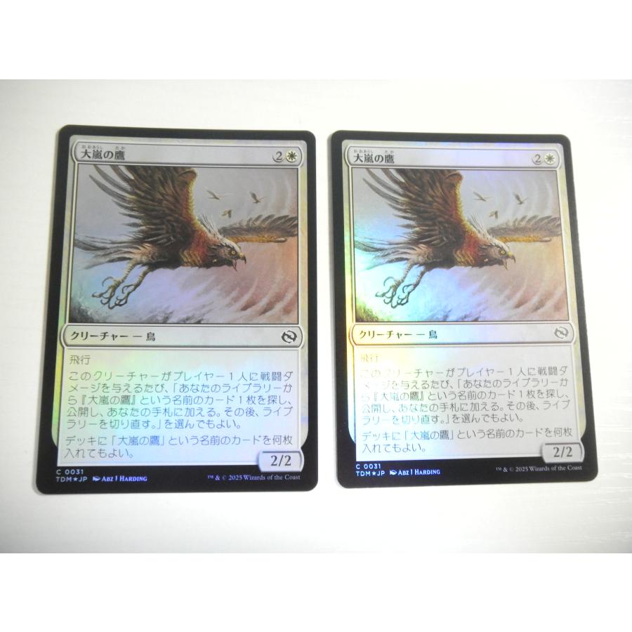 MTG嵐削りの海岸銀幕FOILDBL3枚セット