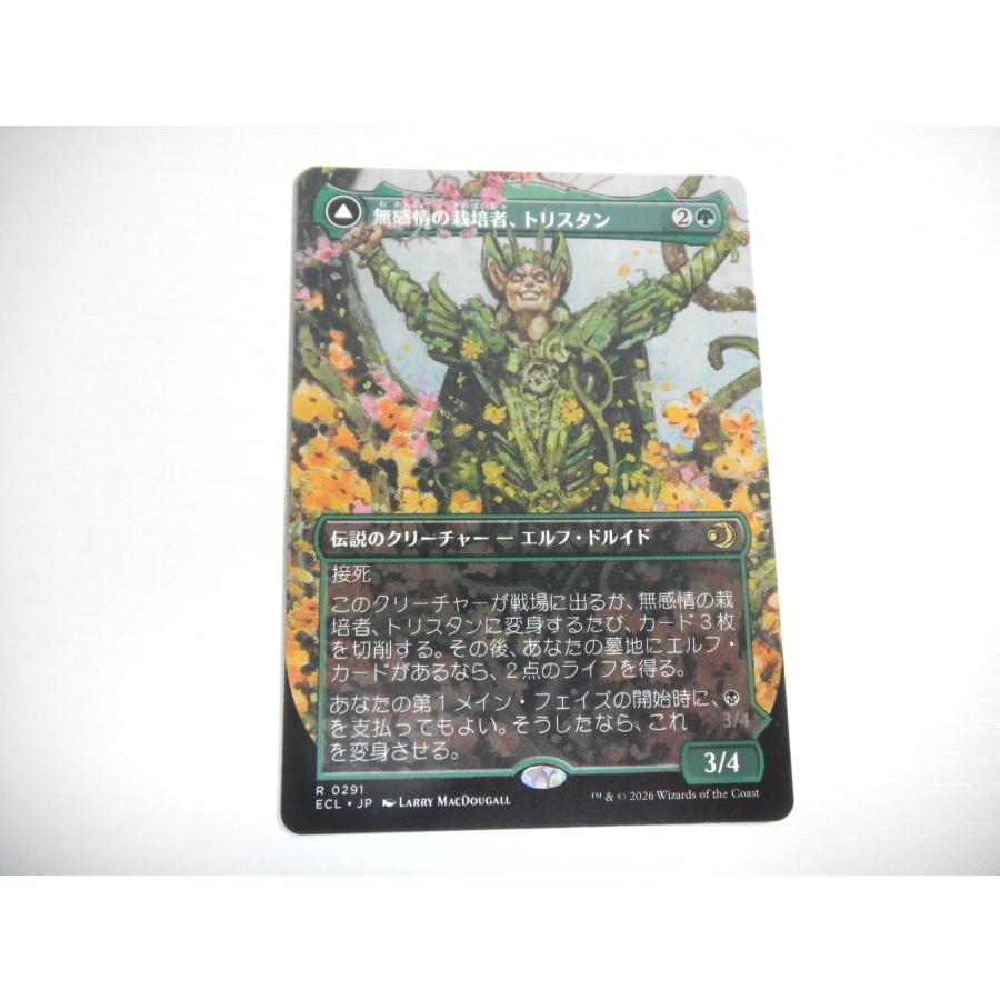 MTG 呪詛の壊し屋 4枚 ローウィンの昏明 日本語 ボーダーレス ECL