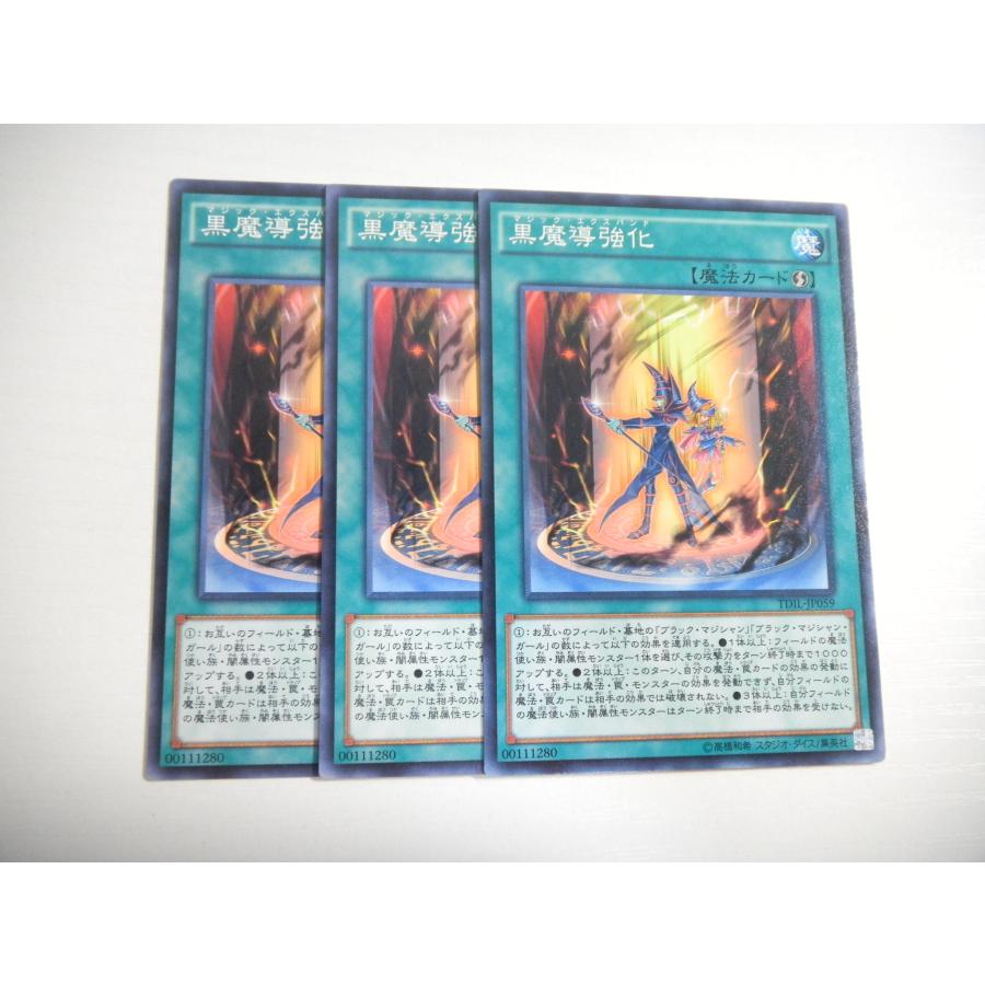 遊戯王EX×1、EX-R×1、各バインダー保存分1セットずつ 遊戯王EX×1、EX-R