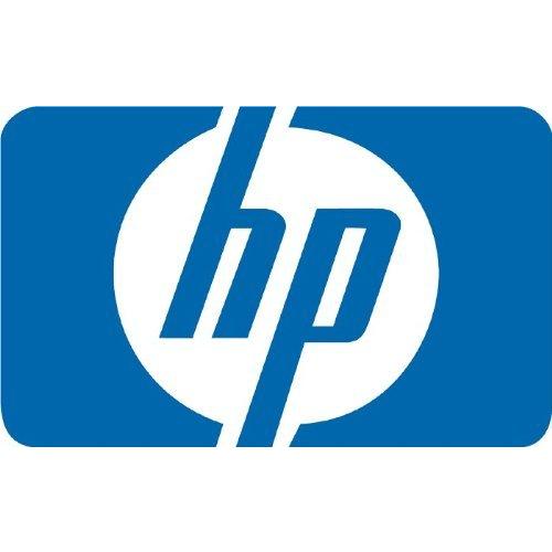 HP デュアルポートミッドライン - ハードドライブ - 2 TB - ホットスワップ - 3.5インチ LFF - SAS-2 - 7200 rpm