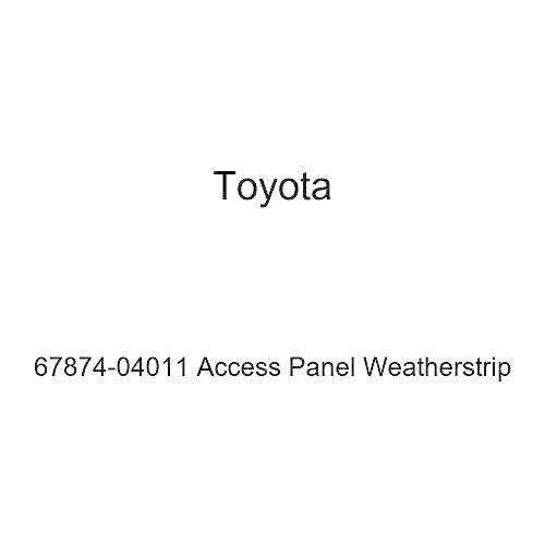 トヨタ純正67874???04011アクセスパネルWeatherstrip