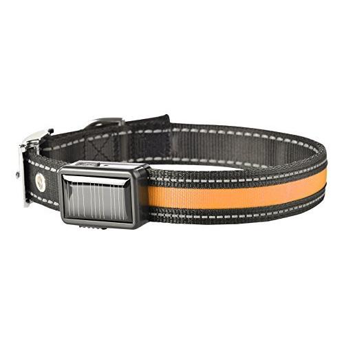 Brite Strike LPCSU-Orange-LG Rechargeable LED Lighted Dog Collar, Make Your Dog Seen in the Dark, Large, Orange