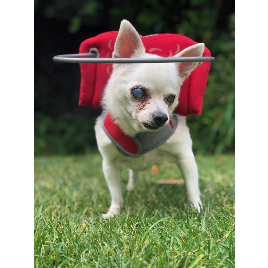 Muffin's Halo Blind Dog Harness Guide Device - Help for Blind Dogs or Visually Impaired Pets to Avoid Accidents & Build Confidence - Ideal Blind｜eastriver｜07
