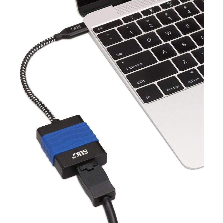 中華のおせち贈り物 USB C to DisplayPort Adapter