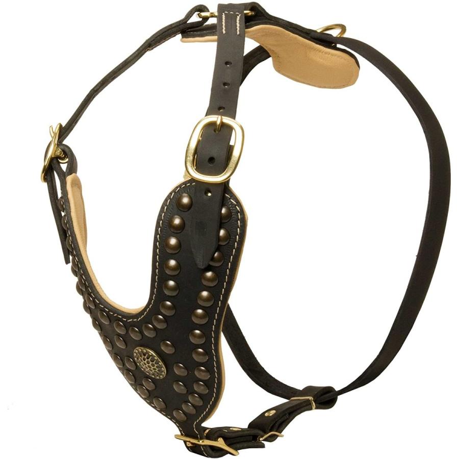 Leather Dog Harness with Unique Design and Soft Padding - Black, XLarge｜eastriver｜02