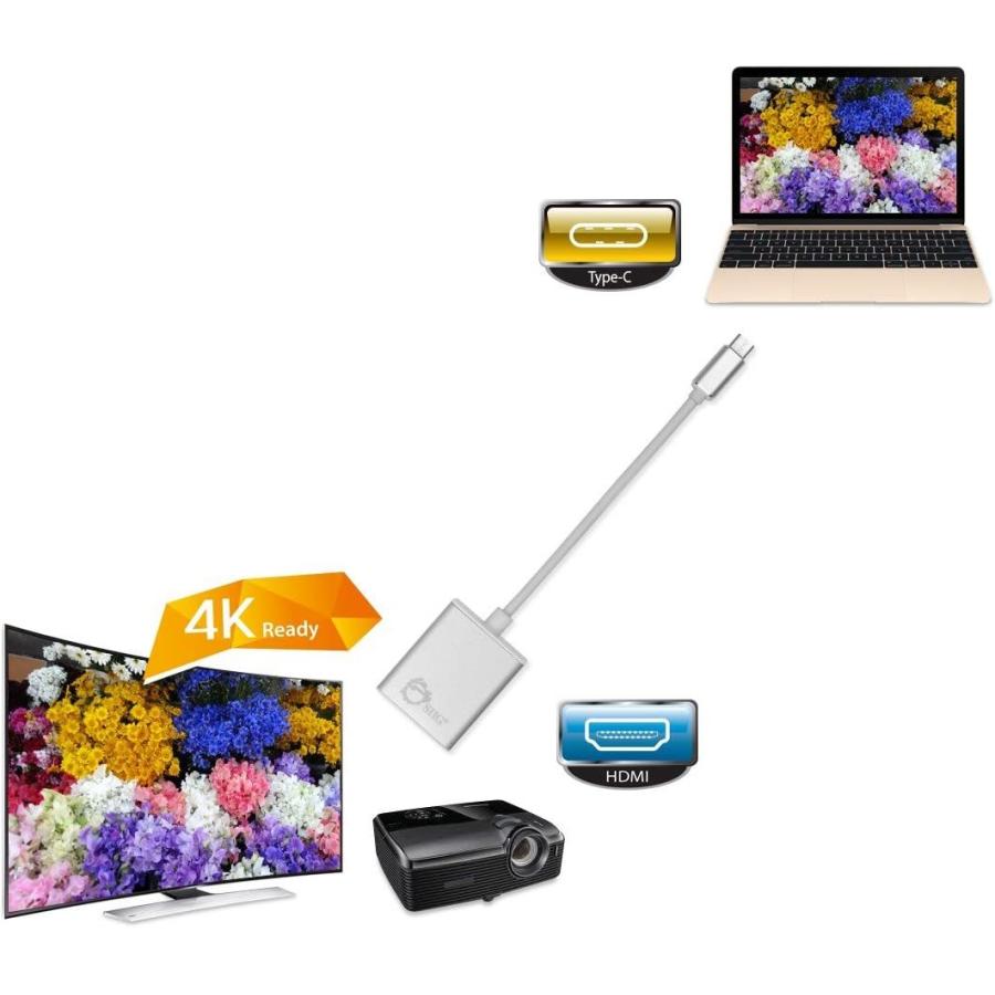 スーパーセール期間限定 SIIG USB C - HDMI、VGA、ディスプレイポートアダプタ USB C to HDMI with PD