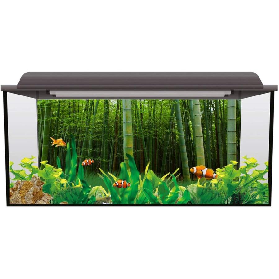 最安値挑戦 Aquarium Xhome T H 送料無料 D Cor Pictur Decoration Wallpaper Sticker Aquarium Background Tank Fish Pattern Scenery Nature Forest Bamboo Backgrounds レイアウト用品 Www Diresatumbes Gob Pe