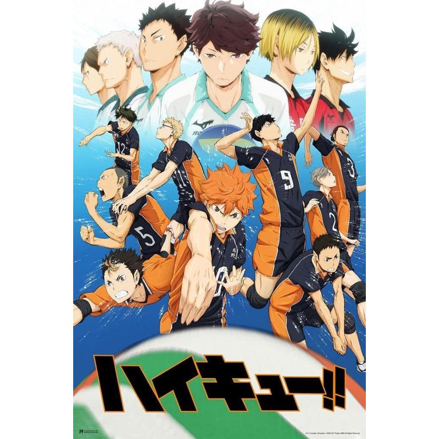 日本最大級 ハイキューアニメポスター ハイキュー漫画 日本アニメスタッフ キーアート シーズン1 ハイキューポスター クランチロール ア マーチ アニメ ストリーミング レリーフ アート qhema Com