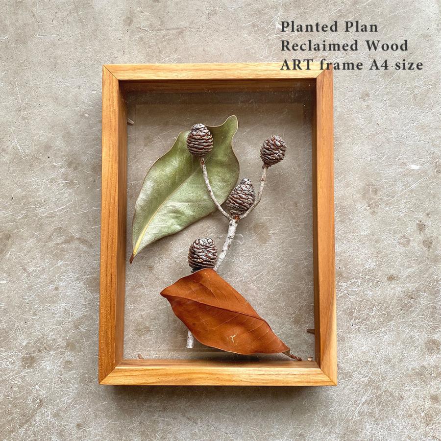 【美品】フランスアンティーク ドライフラワー ドーム ゴールドフレーム 3640 ♡ アンティークワックスフラワーマリアージュガラスフレーム