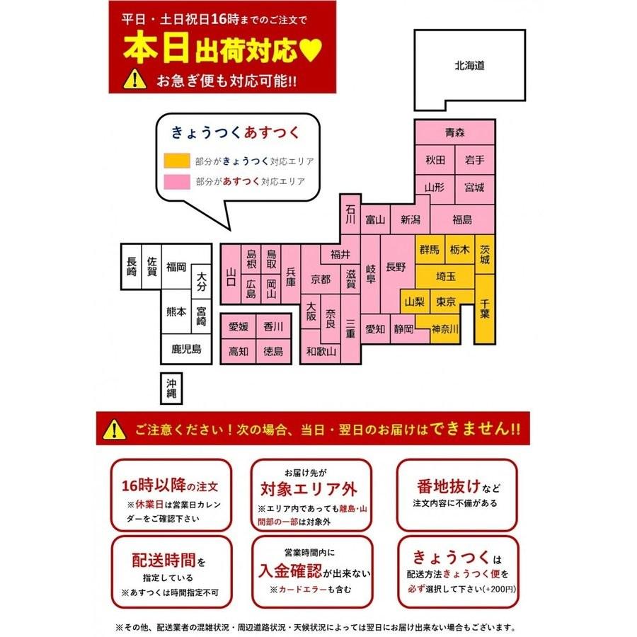 きょうつく/あすつく】夏色 アイコス3 MULTI マルチ ミント 限定色
