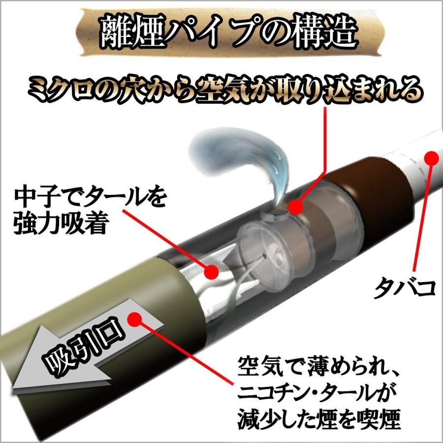 きょうつく/あすつく対応 】離煙パイプ GR 31本セット レギュラー