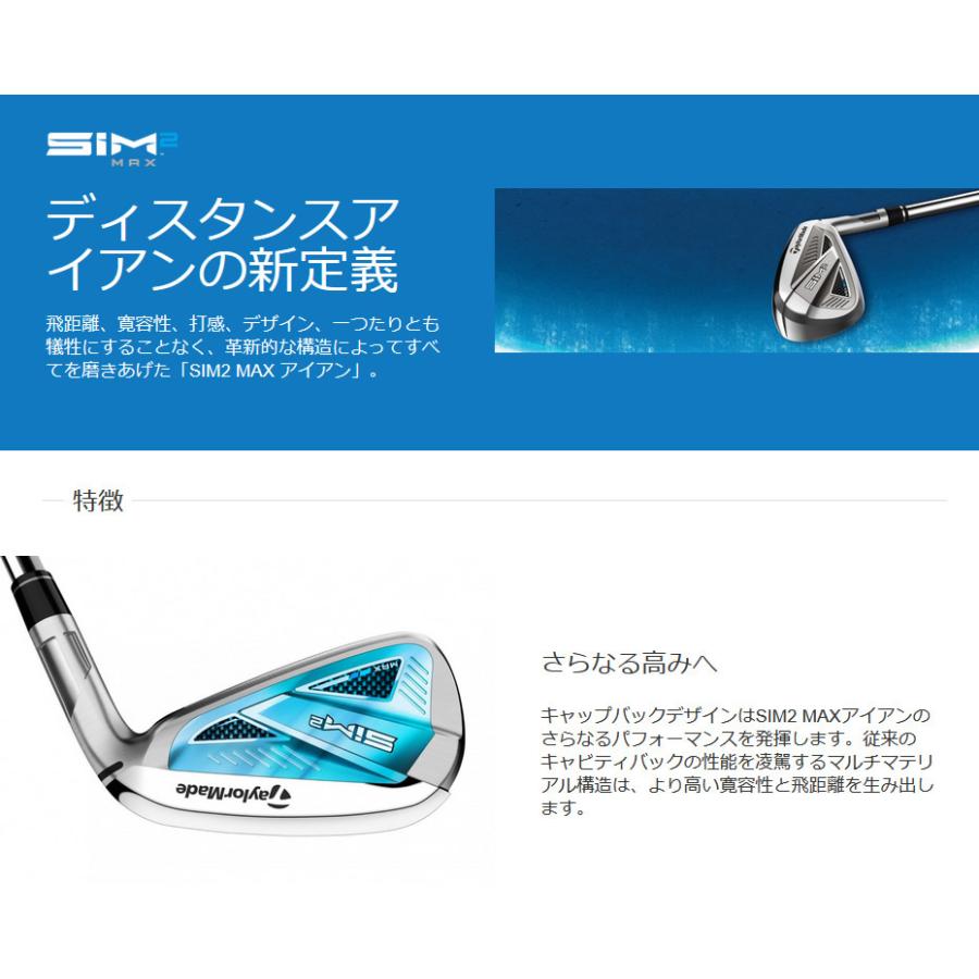 テーラーメイド SIM2 MAX 5本 TENSEI BLUE TM60「R」