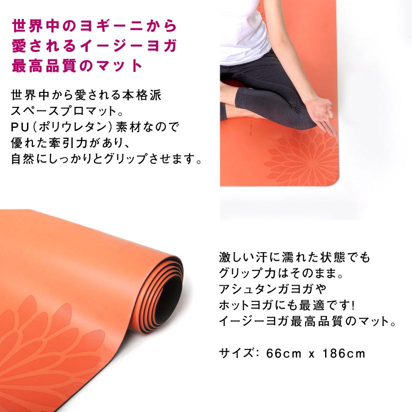 日本最大級 イージーヨガ ヨガマット 5mm スペース プロマット オレンジ Easyoga マットバック付き センターライン ホットヨガ グリップ 高品質 天然ゴム 公式 Yme 502 O1 イージーヨガ 通販 Yahoo ショッピング 超美品 Www Doctor Plan Com
