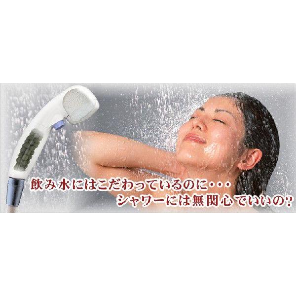 塩素除去、肌荒れ、髪のパサツキ回避、アトピー性皮膚炎にイオン