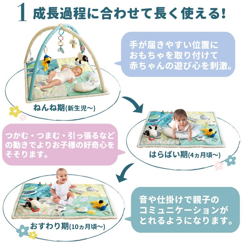 nihonikuji（日本育児） ひつじのショーン プレイジム アクティビティ