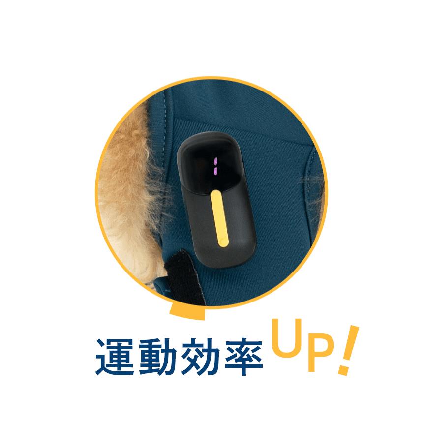 犬用 EMS トレーニングスーツ EMSx2個セット 犬 膝蓋骨脱臼 両足 ケア