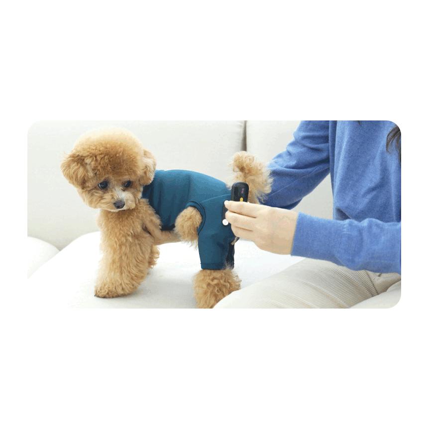 犬用 EMS トレーニングスーツ 犬 膝蓋骨脱臼 ケア 予防 トレーニング