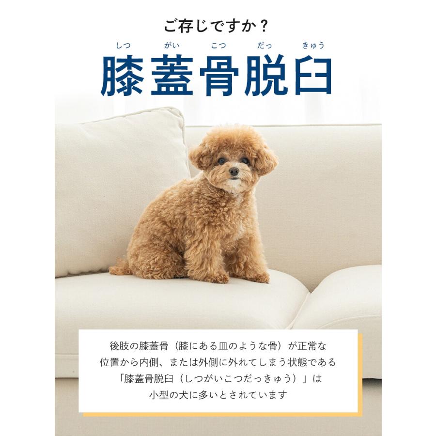 犬用 EMS トレーニングスーツ 犬 膝蓋骨脱臼 ケア 予防 トレーニング