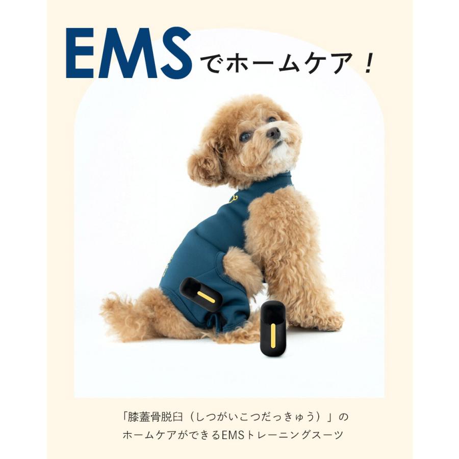 犬用 EMS トレーニングスーツ 犬 膝蓋骨脱臼 ケア 予防 トレーニング