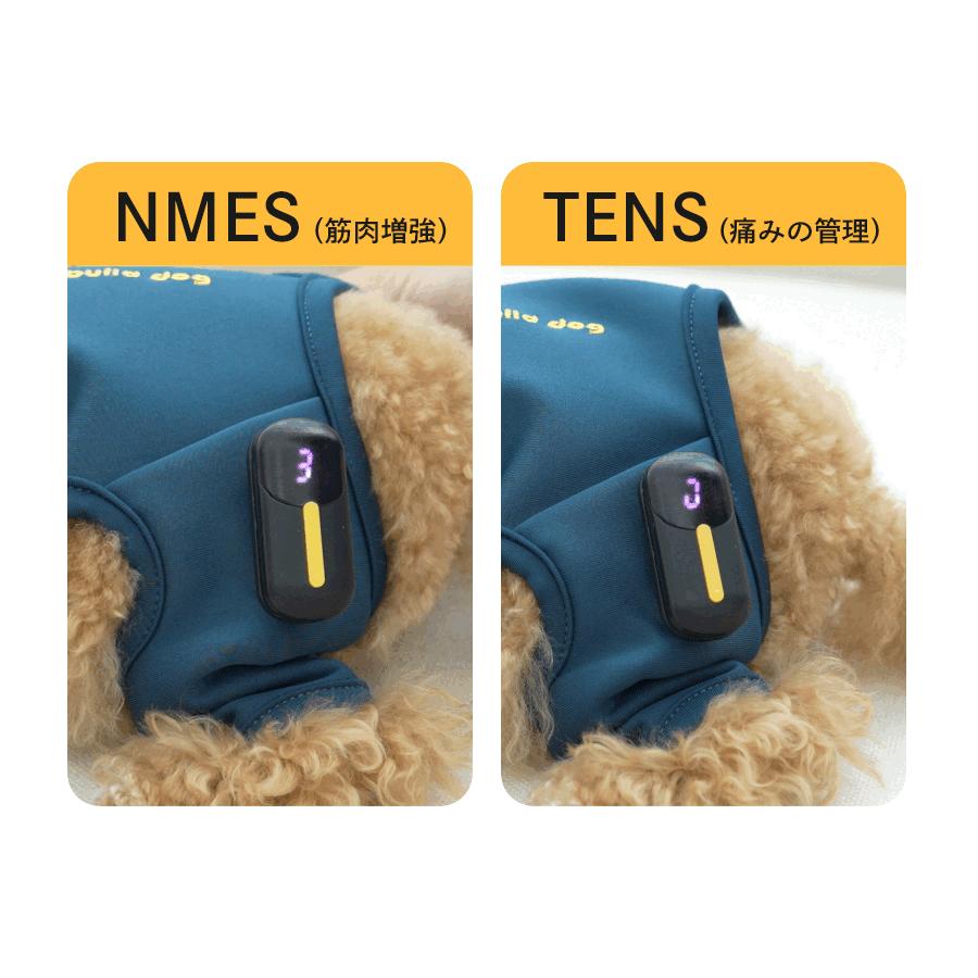 犬用 EMS トレーニングスーツ 犬 膝蓋骨脱臼 ケア 予防 トレーニング