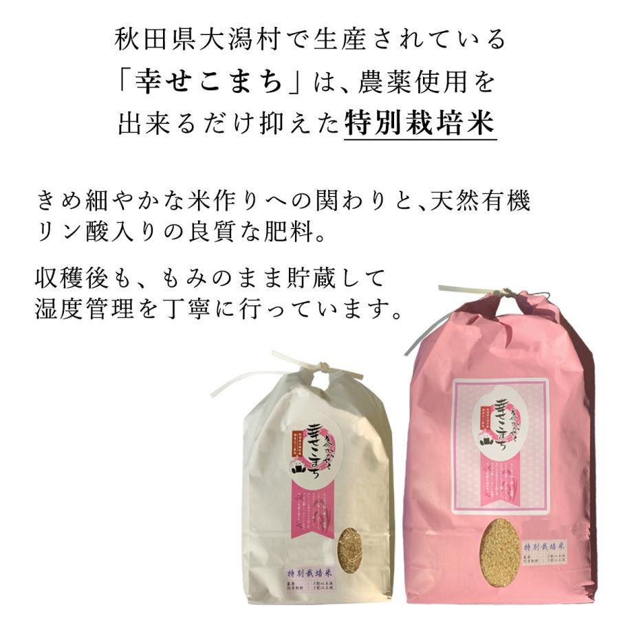 あきたこまち 新米 米 お米 5kg 特別栽培米 減農薬 秋田県 生命